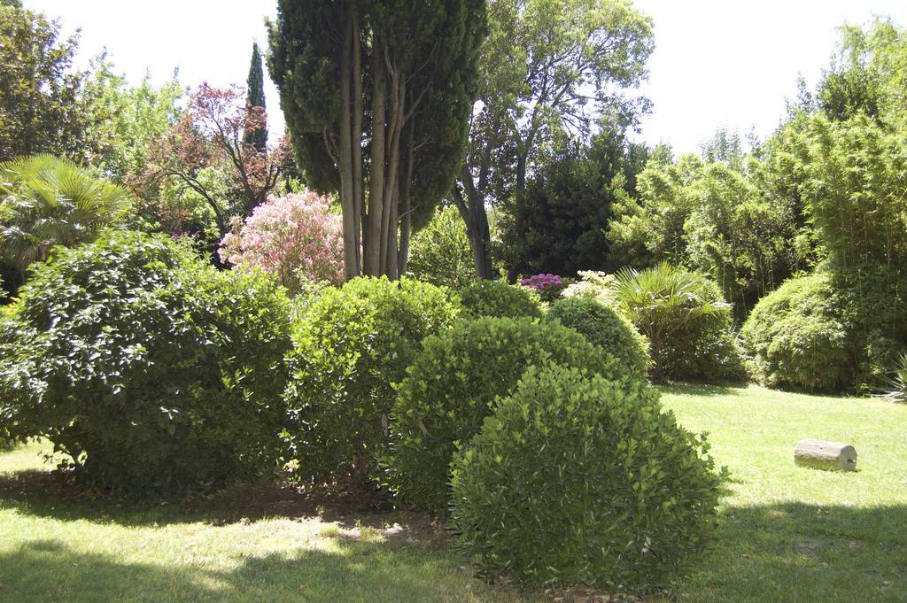 Le Mas Ferrand Graveson Exterior foto