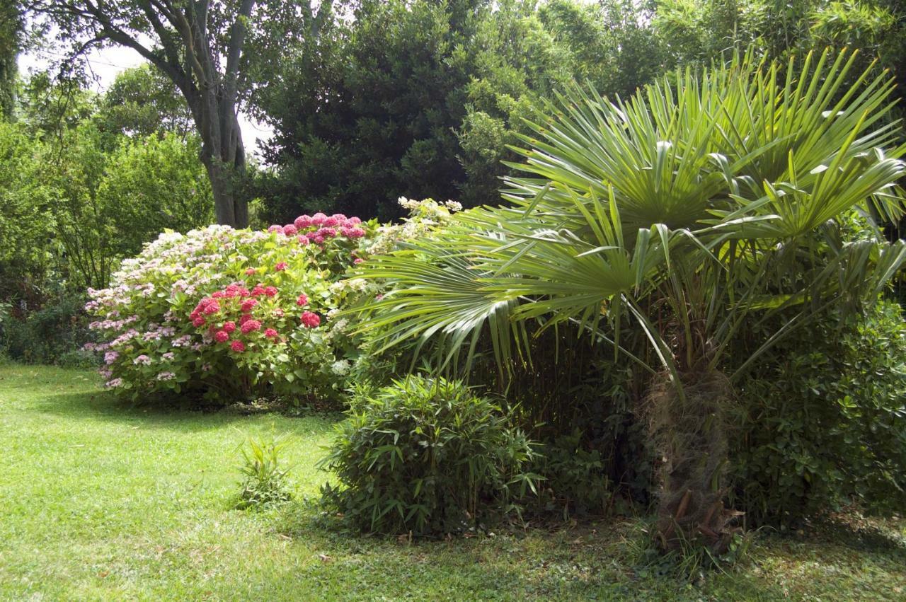 Le Mas Ferrand Graveson Exterior foto